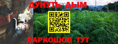 молекула духа Новозыбков