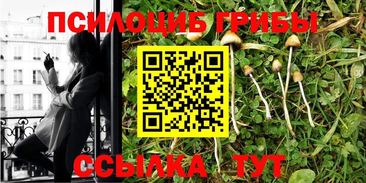 Псилоцибиновые грибы GOLDEN TEACHER Рязань