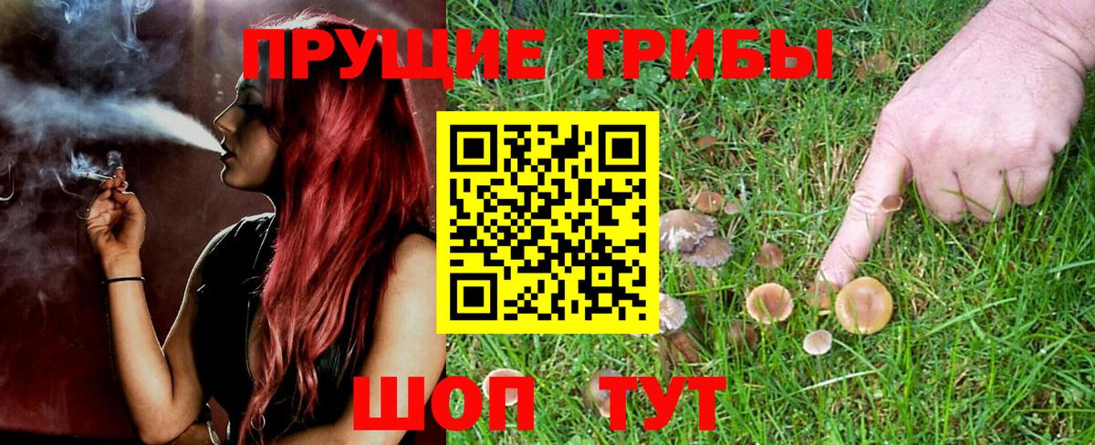 Галлюциногенные грибы GOLDEN TEACHER  Галлюциногенные грибы Cubensis  Вход с VPN  Рязань 